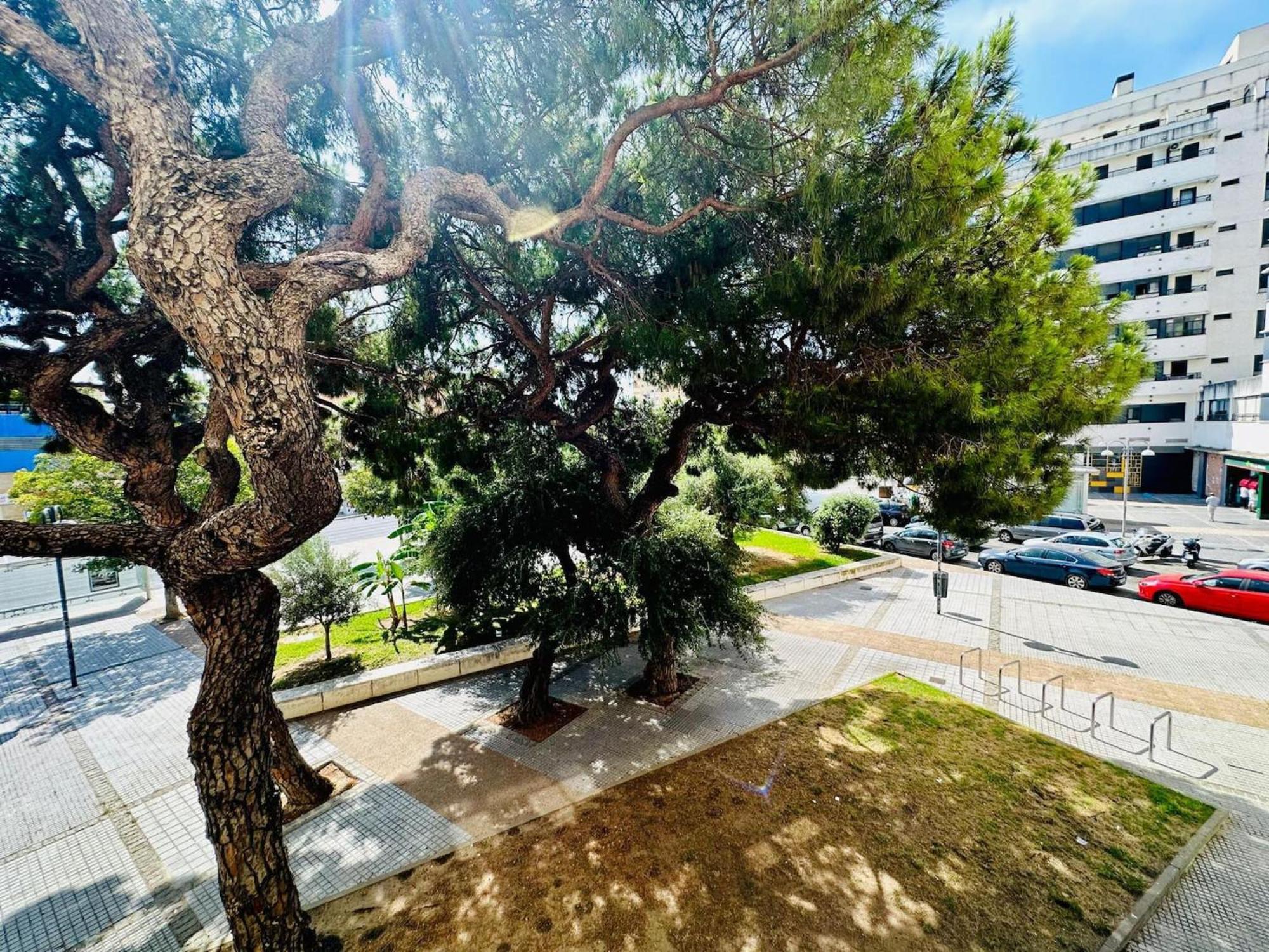 Апартаменти Avenida Portugal Con Ascensor Grupo Ac Gestion Кадіс Екстер'єр фото